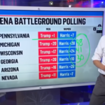 Gender Gap in 2024 Presidential Race Reflects Ongoing Political Divide