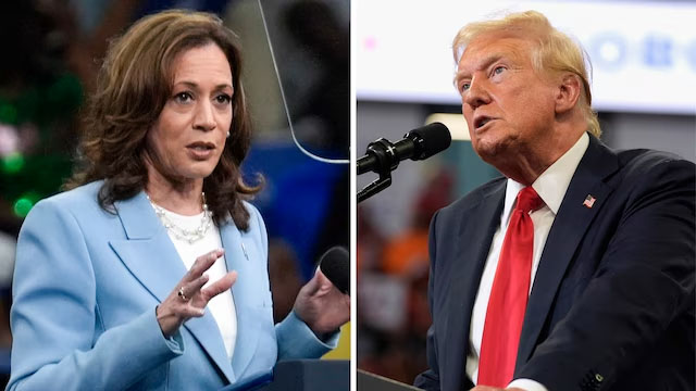 Economists Now Favor Harris Over Trump in 2024 Presidential Race, Survey Shows